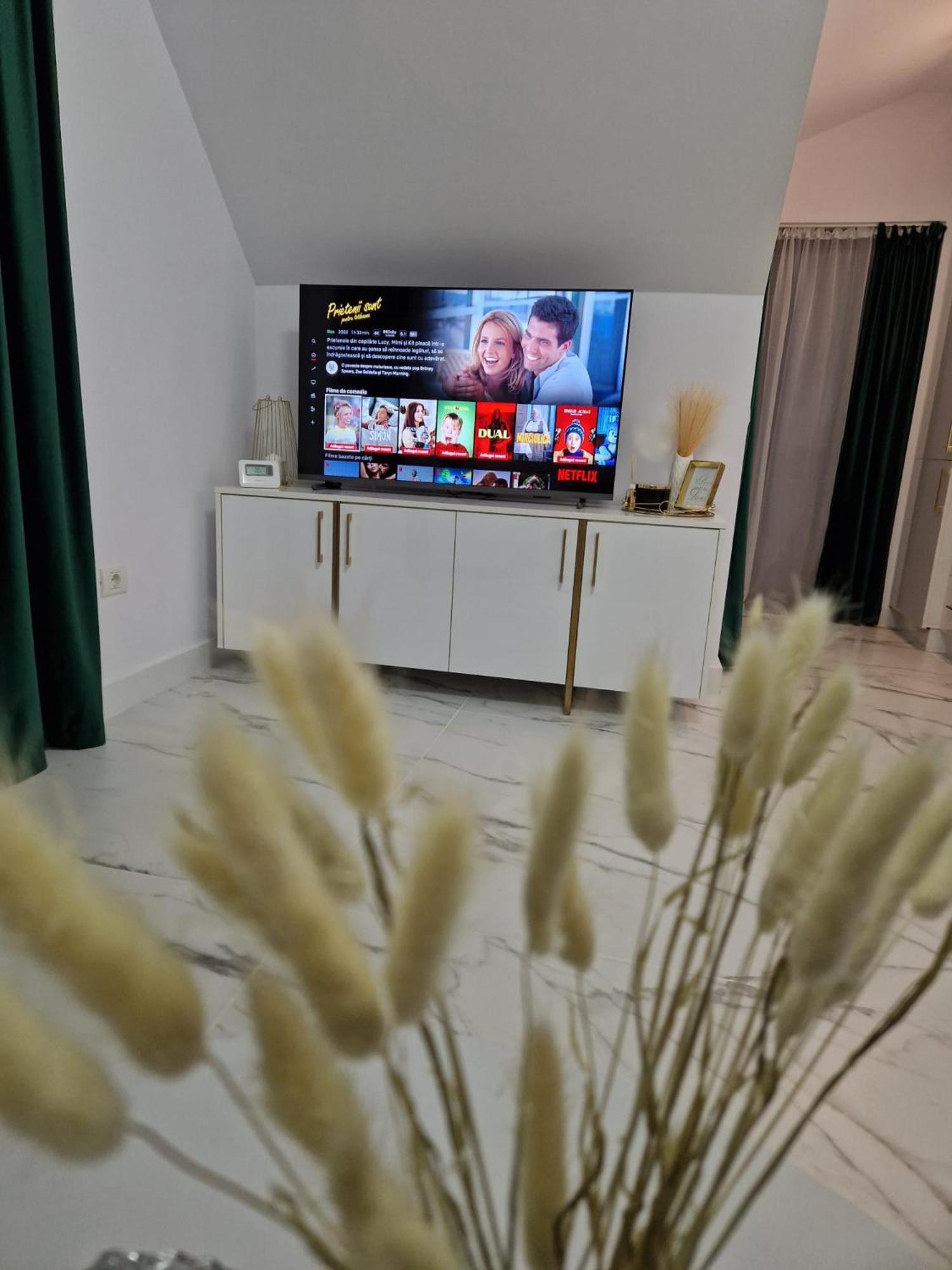 Gold Tag Apartament Timişoara Exterior foto